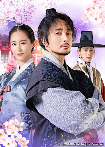 韓国ドラマ『ポッサム～愛と運命を盗んだ男～』日本語字幕版（全