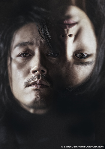 韓国ドラマ『ザ・プロファイラー～見た通りに話せ～』日本語字幕版（全