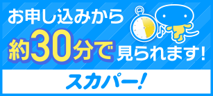 お申込みから約30分で見られます！スカパー！