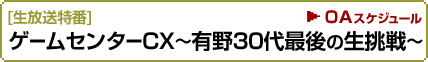 [生放送特番]ゲームセンターCX～有野30代最後の生挑戦～