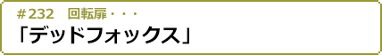 2017年1月19日(木)24:00～