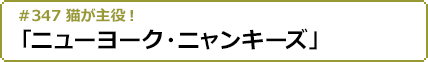 2022年10月27日(木)24:00～