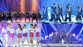 2014 KBS歌謡祭